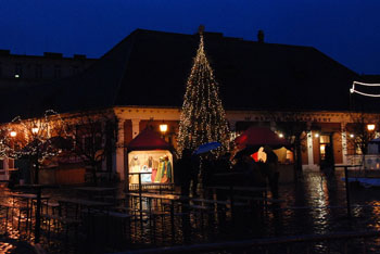 the Christmas tree on the Main Square of Óbuda by night