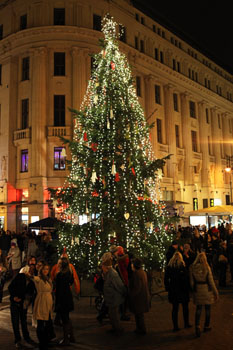 Christmas tree on Vorosmarty sqr at night