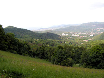 green slopes at Normafa in the Buda Hills