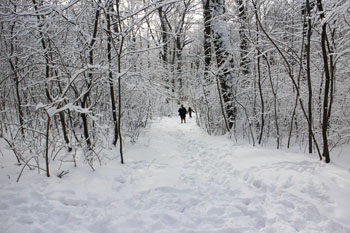 buda hills winter