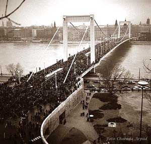 budapest erzsebet bridge anno