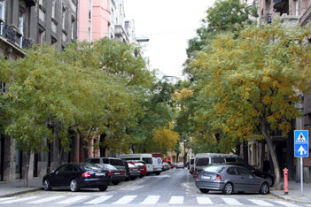 Falk Miksa Street lined with trees and parking cars in early autumn