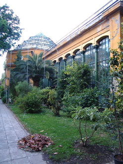 Fűvészkert Botanical garden in Budapest