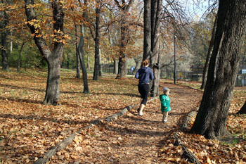 A jogger in Orczy Garden in autumn