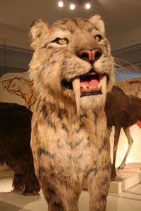 saber toothed tiger ice age budapest