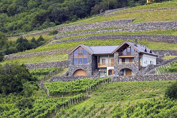 a grey stone, modern wine cellar, Kreinbacher Birtok