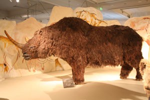 wooly rhino ice age budapest