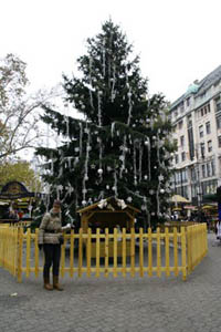a tall fir with white ornaments, a young lady standing in front of it for photo