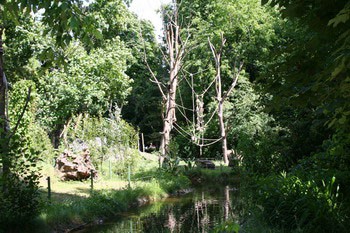 park in the zoo