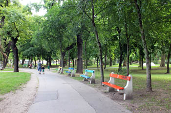 benches along a walkway in the aprk