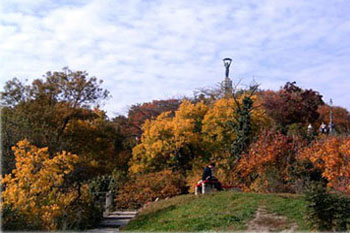 gellert hill budapest13