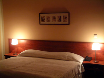 a double room with a twin bed - budapest airport hotels 