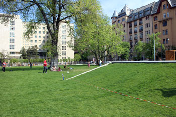 the green lawn in Oilimpia Park