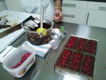 squares of chocolate with dried fruit pieces on a stainless steel worktop