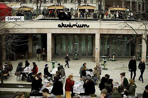 people on the terrace of Akvárium Klub Erzsébet Square