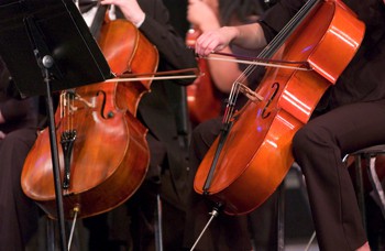 two violas in the musicians hands