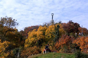 Gellert Hill in fall with the Statue of Liberty
