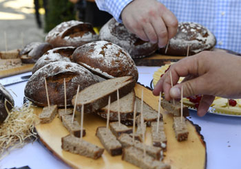 slices and pieces ofof rye bread on toothpick placed on a plate for tasting