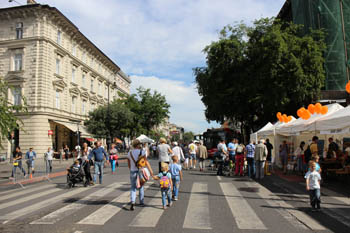 people on the avenue during a festival