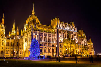 a Christmas fir with blue LED lights in front of the illuminated Parliament at night