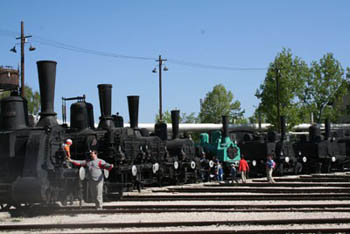 old steam locomotives in the museum park