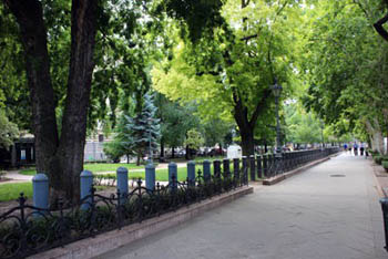 a walkway and trees in the park
