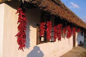 hungarian paprika strings