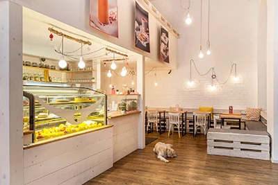 the cozy, well lit interior of the Naspolya Nassolda Vegan Cake Shop, the counter is packed with raw desserts and cakes