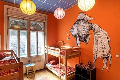 a cheery bedroom in Big Fish Hostel with orange walls