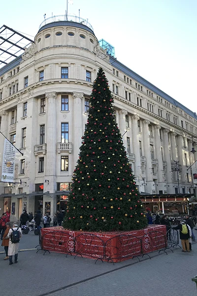 A tall, plastic fir Christmas tree standing on Vörösmarty Square with the hard Rock Cafe in the background