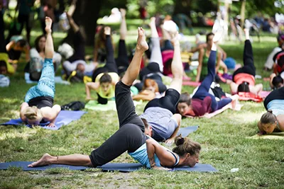people doing yoga in a meadow on Margitsziget