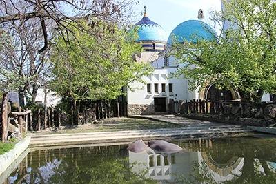 the Elephant House in Budapest Zoo with its blue tiled domed roof