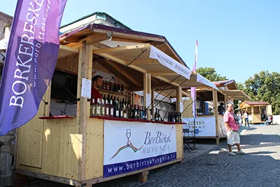 Wine Festival in Buda Castle