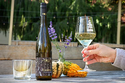 a bottle of the Cedrus cuvee with small decor pumkins and a few lavenders in a glass, next to ita hand holding a glass of the white wine