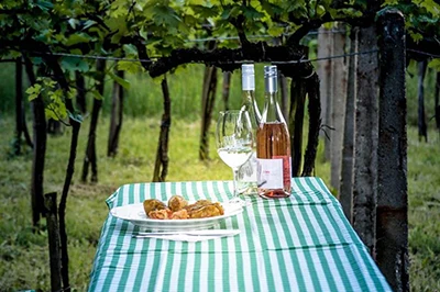 A botle of rose and a bottle of white wine on a table covered with blue-white tablecloth checkered. A wine glass and a plate of snacks next to them. The table is in a vineyard