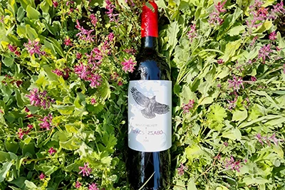 a bottle of the "Instead of a Honeymoon" red wine by Ipacs Szabó winemaker nestled among wildflowers