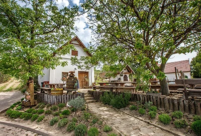 The cellar and vineyard of Janos Németh wine maker in Szekszárd