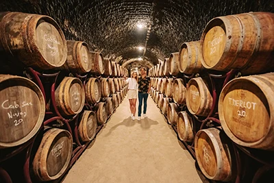 rows of oak barrels in the Thummerer cellar, Noszvaj