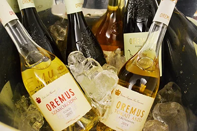 a bottle of straw yellow Oremus Szamorodni wine with a bottle of Tokaji aszu wine together with some other bottles of wine
