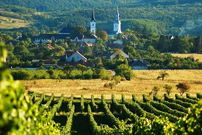 the green hills of Tokaj wine region, two churches in the background