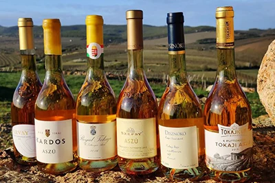 6 bottles of various Tokaji aszu wines placed on the ground in a vineyard