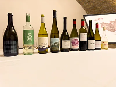 10 bottles of Hungarian white and red wine on a white clothed table, location: tasting room of the Pálinka Museum