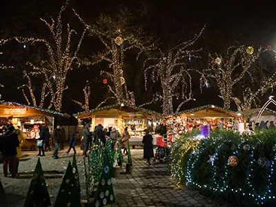 Christmas fair in City Hall park at night