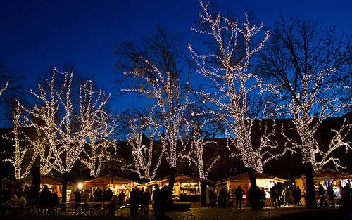 festive Xmas lights turned on at the blue hour in Városháza Park