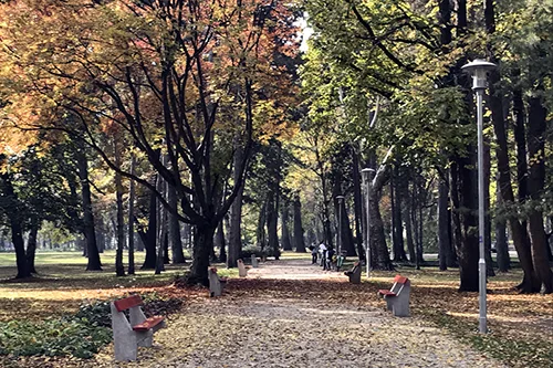 tree lined walkway with benches on Margaret Island in late autumn