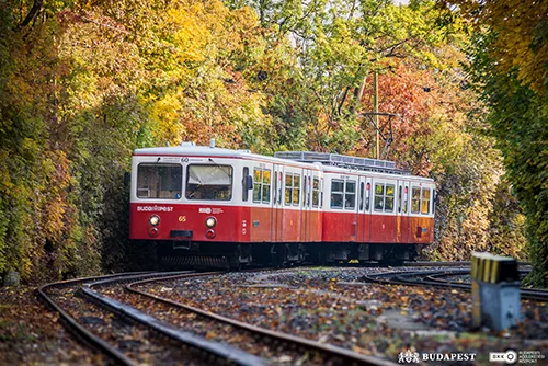 the red and white colored cogwheel railway running in the Buda Hills in autumn