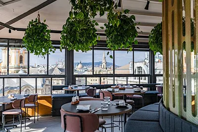 interior of the SOLID rooftop bar, green palnts hanging from the ceiling, view of the city through the panorama windows