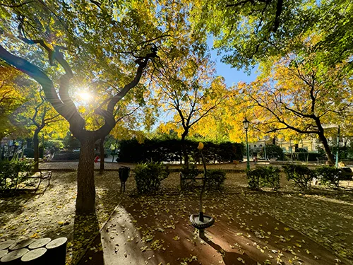 Károlyi Garden on a Beautiful Sunny Autumn Day