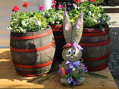 a grey stuffed bunny standing in front of two wooden barrels with flowers in them