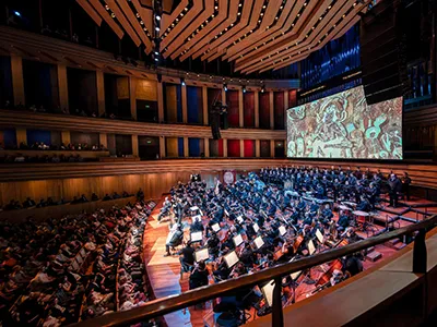 a concert in the Bela Bartok concert hall